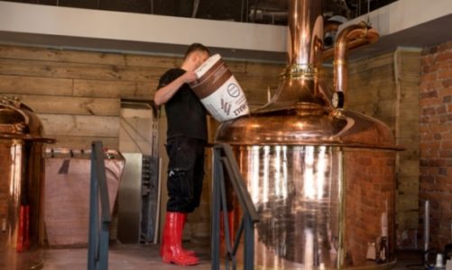 Złoty Pies w Rynku warzy już piwo