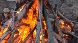 Kiełbasa z ogniska Styl życia, LIFESTYLE - Jesienne ogniska cieszą się jeszcze większym powodzeniem niż te, rozpalane latem. Szybciej się ściemnia, szybciej robi się chłodniej, więc trzeba się czymś ogrzać. A do tego, na rozgrzewkę upiec klasyczną kiełbasę Madej Wróbel na patyku i zjeść ją z chrupiącym polskim chlebem.