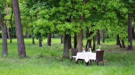 9 powodów, dla których warto zorganizować wesele w hotelu Styl życia, LIFESTYLE - Ślub to jedno z najważniejszych wydarzeń w życiu. Dlatego warto powierzyć ten obowiązek doświadczonej osobie, jaką jest hotelarz. Dziewięć powodów, dla których warto zorganizować wesele w hotelu podaje Małgorzata Kot, Zastępca Dyrektora Z-Hotel Business & Spa z Otwocka.