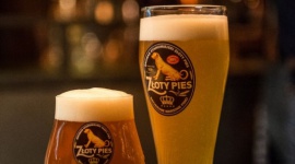 Wrocławska pszenica nagrodzona Styl życia, LIFESTYLE - Jak smakuje jedno z najlepszych piw pszenicznych w Polsce? Przekonaj się o tym osobiście! Golden Weizen, który powstaje we wrocławskim browarze restauracyjnym Złoty Pies, otrzymał srebro w Konkursie Piw Rzemieślniczych 2015.