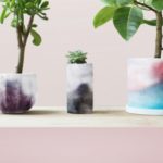 „Plants-skin”, czyli skóra dla roślin