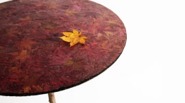 Przemijanie ujęte w tworzywo. Oto koperty i meble wykonane z opadłych liści. Styl życia, LIFESTYLE - Bio-Vide jest tworzywem z którego mogą powstawać zarówno koperty, jak i meble. Jego surowiec i podstawę stanowią… opadłe liście. To znakomity przykład zastosowania filozofii mówiącej o tym, że wszystko pochodzi z ziemi i do niej wraca.