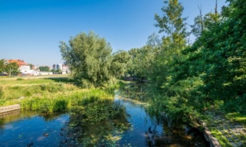 Jak mają wyglądać nabrzeża Oławy? Rozmowy z mieszkańcami