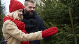Nowy Rynek rozdaje choinki za zakupy Styl życia, LIFESTYLE - Choinki za paragon, świąteczne kolędowanie z „Angie” i jeleniogórską młodzieżą, a także porady modowo-urodowe, zabawy i konkursy z nagrodami. 17 i 18 grudnia Nowy Rynek zaprasza na bożonarodzeniowe atrakcje.