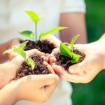 Znajdź zieloną planetę – bezpłatne prelekcje i warsztaty