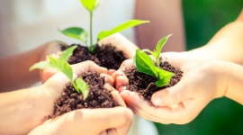 Znajdź zieloną planetę – bezpłatne prelekcje i warsztaty Styl życia, LIFESTYLE - Jak w prosty sposób wybudować swoją własną „fabrykę tlenu”? Czy za pomocą roweru można przyrządzić zdrowy koktajl? Odpowiedzi na te pytania będzie można poznać już 27 i 28 kwietnia w Magnolia Park, podczas ekologicznych warsztatów i prelekcji. Wstęp wolny.