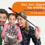 Kocie piękności w Europie Centralnej