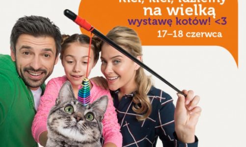 Kocie piękności w Europie Centralnej