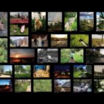 Osiedle okiem mieszkańców. Konkurs fotograficzny w Wolnym Mieście.