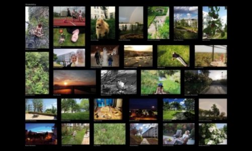 Osiedle okiem mieszkańców. Konkurs fotograficzny w Wolnym Mieście.