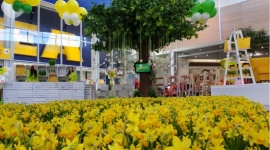 URODZINY PORTU ŁÓDŹ Styl życia, LIFESTYLE - Tydzień niesamowitych atrakcji 19 – 25 marca Ponad 7 tysięcy nagród do wylosowania!