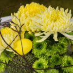 Wielkanocne dekoracje – chryzantema będzie trendy!