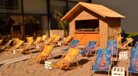 Owoce morza na plaży w centrum Wrocławia