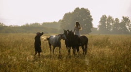 Bajkowy świat sportów konnych widziany oczami Daniela Jaroszka: Projekt Tempo Styl życia, LIFESTYLE - Wczoraj wieczorem odbyła się premiera bajkowego projektu Tempo, czyli osadzonego w świecie sportów konnych krótkometrażowego filmu oraz sesji zdjęciowej autorstwa Daniela Jaroszka.