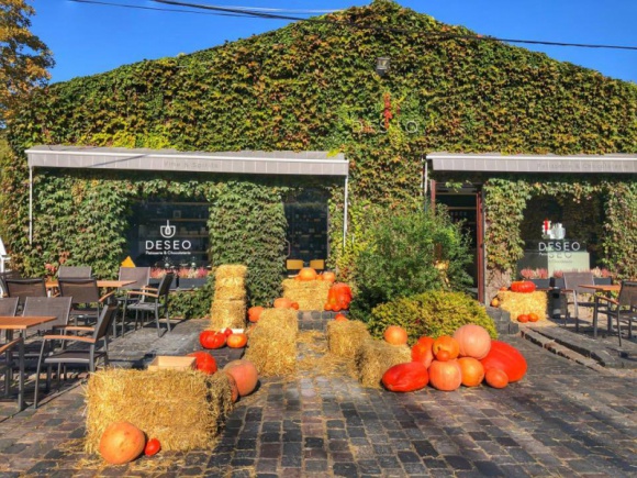 Mini farma dyń – jesienny klimat w DESEO Styl życia, LIFESTYLE - Przez najbliższe dwa tygodnie w DESEO Patisserie & Chocolaterie przy Burakowskiej warszawiacy mają okazję skosztować słodkości oraz wypić kawę w niezwykłej scenerii, którą tworzy mała farma dyń.