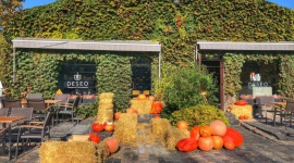 Mini farma dyń – jesienny klimat w DESEO