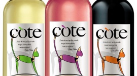 Wino przyjazne weganom – jak wygląda jego produkcja?