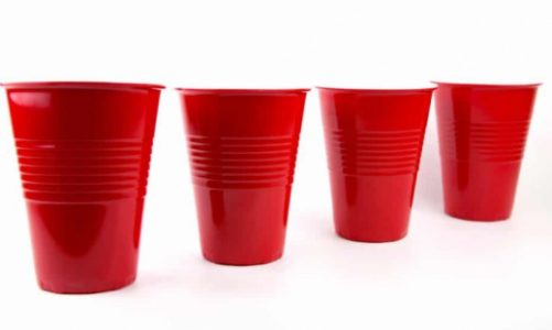 Największy Cup Song w Polsce w Wąbrzeźnie
