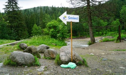 Ochronić przyrodę przed śmieciami – Czyste Tatry ekoMałopolska 2019