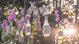 5 sposobów na wykorzystanie butelki po winie – rady od PANUL Styl życia, LIFESTYLE - Otwierasz wino, wieczór mija i pozostaje po nim tylko pusta butelka. Co z nią zrobić? Jak można dać jej drugie życie? Poznaj 5 sposobów marki PANUL, które mogą zainspirować Cię do działania w duchu less waste.