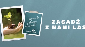 Zasadź las z Wrocław Fashion Outlet Styl życia, LIFESTYLE - Wrzesień to dobry czas na odpowiedzialne kupowanie i dbałość o zrównoważony rozwój naszej społeczności lokalnej. Przez cały miesiąc Wrocław Fashion Outlet zaprasza do udziału w akcji „Zasadź z nami las”
